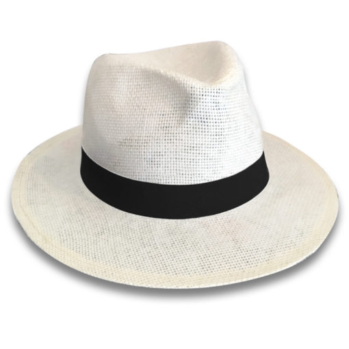 panama hat