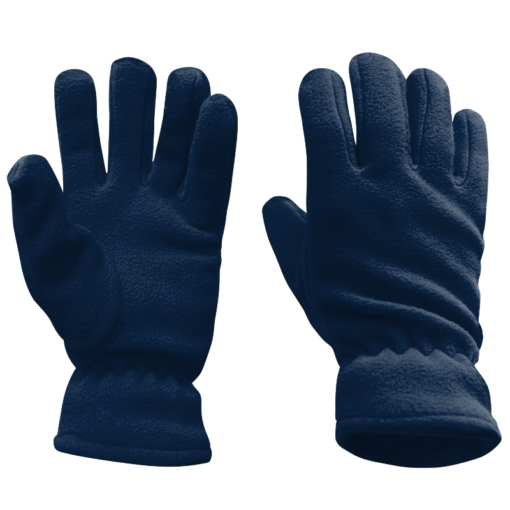 blizzard gloves